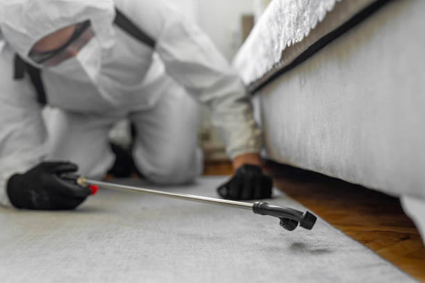 Professional Cockroach Control technician working in Charlotte, MI