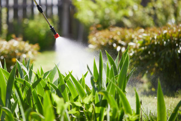 24/7 Emergency Cockroach Control experts in Charlotte, MI
