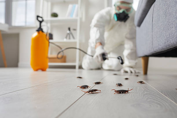 Affordable Cockroach Control solutions in Charlotte, MI
